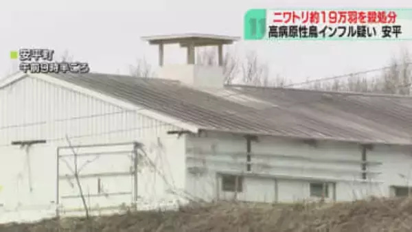 肉用ニワトリ約18万8000羽の殺処分始まる　高病原性鳥インフルエンザの疑い　北海道安平町