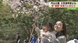 「満開の桜の下で手作り弁当…　火気使用禁止も花見にぎわう　札幌・円山公園」の画像1