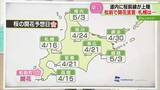 「【解説】道内のサクラ前線　ついに上陸！札幌は16日か　いずれも10~15日ほど早い予想に　北海道」の画像1