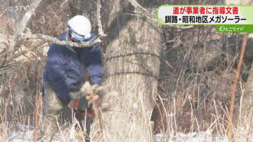 釧路市のメガソーラー建設　道が事業者に指導文書を送付　希少生物に関する協議後に工事をするよう指導