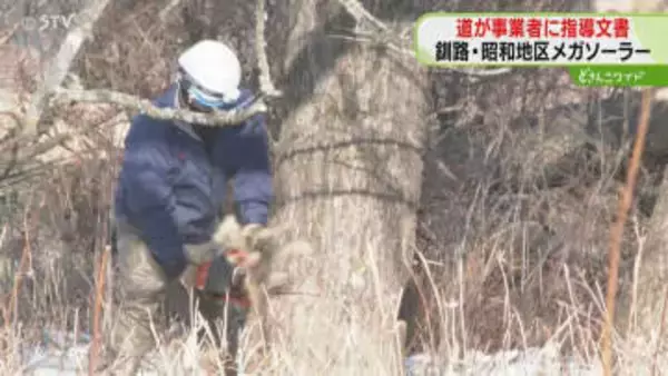 釧路市のメガソーラー建設　道が事業者に指導文書を送付　希少生物に関する協議後に工事をするよう指導