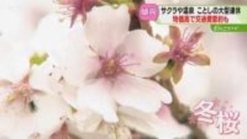 【ＧＷ】ことしは最大１２連休　交通費節約し旅先で楽しむスタイル人気　松前の開花予想は１３日