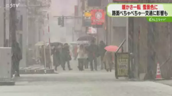 「べちゃべちゃして…」湿った雪降り続き銀世界　新千歳空港発着便に欠航も　９日明け方まで注意