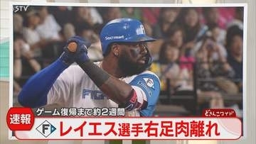【速報】レイエス選手が右足の肉離れと診断　復帰まで2週間の見通し　北海道日本ハムファイターズ