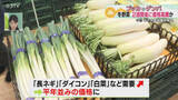 「約3割高くなる見込み…需要が増える“鍋物野菜”　旬のミカンは前年比200円ほど安い　北海道」の画像1