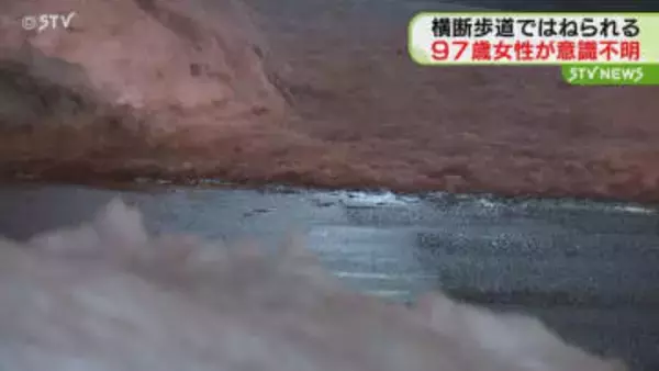 東区の交差点 横断歩道を渡っていた９７歳女性が車にはねられ意識不明 車運転の31歳男を逮捕