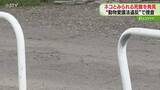 「近くに血痕など見当たらず…　ネコとみられる死骸みつかる　動物愛護法違反の疑いで捜査　岩見沢市」の画像1