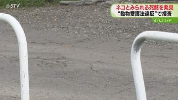 近くに血痕など見当たらず…　ネコとみられる死骸みつかる　動物愛護法違反の疑いで捜査　岩見沢市