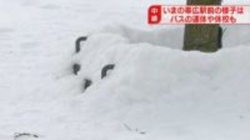 【中継】雪に埋まったベンチ　空港行きバス運休で「どうしたら…」積雪53センチ　北海道帯広市