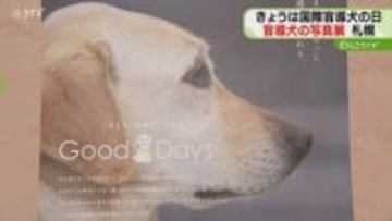 人に連れ添って階段下りる…盲導犬の写真展開かれる　４月２９日は国際盲導犬の日　札幌市