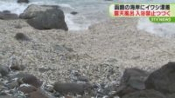 「海はにごり悪臭漂う」大量のイワシ死がい漂着の影響　波打ち際にある露天風呂入浴禁止続く　函館