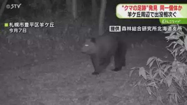 幅10センチほどの足跡発見　羊ケ丘で固定カメラに“クマ”　住宅街への出没に注意　札幌・豊平区