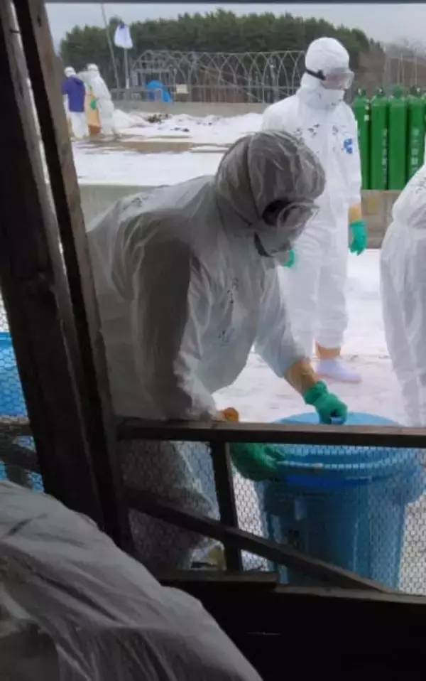 【速報】由仁町の養鶏場で6300羽の殺処分が終了。高病原性鳥インフルエンザの疑い