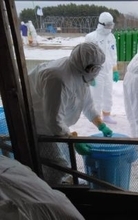 【速報】由仁町の養鶏場で6300羽の殺処分が終了。高病原性鳥インフルエンザの疑い