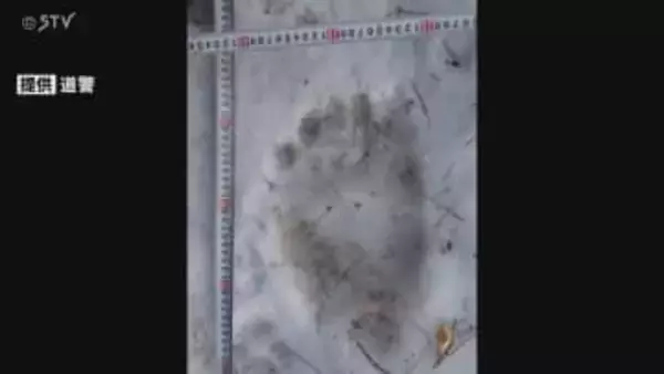 【速報】前年比2倍の5260件　2025年のクマ通報　正月から4日間で2件の通報も　北海道