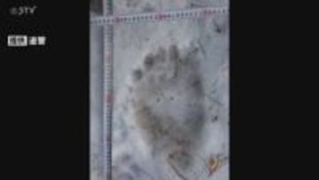 【速報】前年比2倍の5260件　2025年のクマ通報　正月から4日間で2件の通報も　北海道