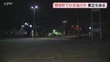 「「歩行者側の信号が青」80歳の女性が車にはねられる 車は現場から立ち去る 北海道・幕別町」の画像1