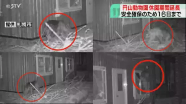 今月16日まで休園期間延長　クマ１頭駆除の円山動物園　周辺で相次ぐ出没うけ来園者の安全確保