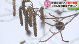 「夏の気温が影響する花粉飛散　シラカバは去年の3倍と予測　ミストが出るゴーグルなど対策グッズも」の画像1