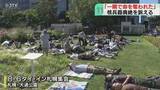 「原爆投下の時刻にあわせて　横たわり黙とうを捧げる　市民らが「ダイ・イン」  札幌・大通公園」の画像1