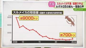 【不漁】去年は約700トン　函館の名産品スルメイカ　2008年から9割以上減少　地元から不安の声
