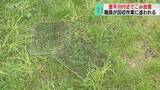 「バーベキューの網や炭が放置　豊平川・河川敷でごみ回収　大型連休明け…パトロール実施　札幌」の画像1