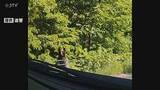「体長約1.5メートルのクマが国道を横断 車で走行中の男性が目撃 北海道・芦別市」の画像1