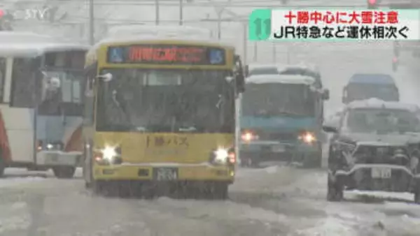 多いところで降雪40センチ　十勝南部は雪が降り続く見込み　ＪＲは特急など50本運休　北海道