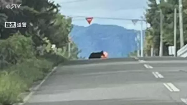 100メートル先にクマ 女性運転手が発見するもその後不明 北海道砂川市