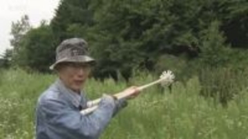 砂川猟銃免許取り消し問題　最高裁で来年２月に弁論　ハンター敗訴の２審判決が見直される可能性も