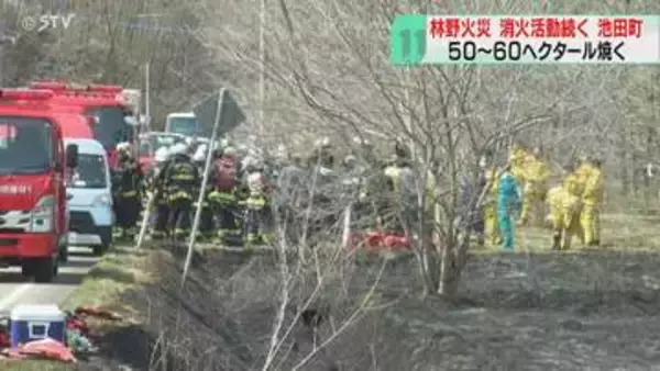 北海道内で火事相次ぐ　音更町でも防風林など燃える　池田町でも大規模な林野火災…いまだ鎮圧に至らず