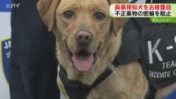 麻薬探知犬“メイプル号”が新千歳空港で密輸を阻止へ！「一番摘発できるように」輸入検査で活躍