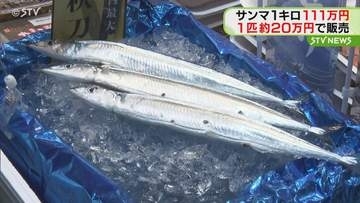 サンマ１匹21万6000円　札幌で初競り過去最高値に　１キロ111万2000円で落札