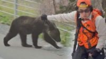ヒグマ春期捕獲に密着　7割以上で“目撃なし” 26歳の若きハンターも…捕獲のノウハウ継承へ　北海道