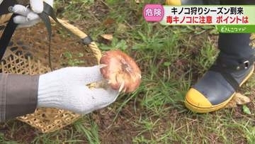 358人が食中毒、4人が死亡　シーズン到来…毒キノコ注意 「症状が出たらすぐ医療機関に」 北海道