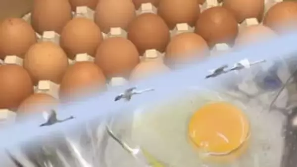 “エッグショック”再来か　1パック320円超え…スーパーは品薄で販売制限　クリスマスケーキにも影響