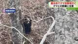 「観光地でクマ目撃相次ぐ　連休中…クマとの距離に注意　北海道内の湖や池の近く」の画像1