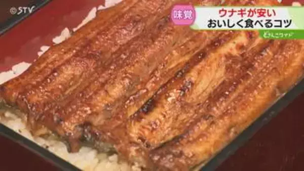 「中国でシラスウナギ豊漁」ウナギのかば焼きが安い！ぬるま湯で優しく洗うとさらにおいしく…北海道