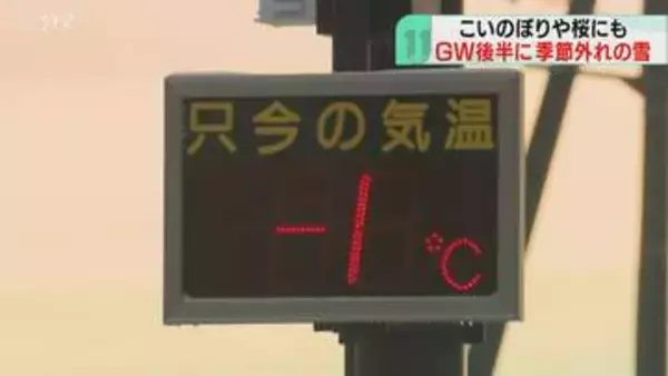 峠で路面凍結…氷点下１度　桜やこいのぼりに雪積もる　道内は平地も冬景色に逆戻り　GWの天気