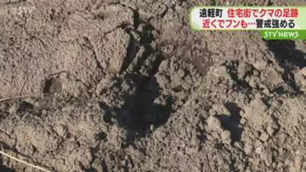 住宅街でクマの痕跡…住宅の畑には足跡、近くではフンも見つかる　警察などが警戒　北海道遠軽町