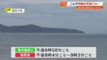 今夜は『皆既月食』午後8時4分ごろから約1時間、月が赤黒い影に覆われる様子が高知でも
