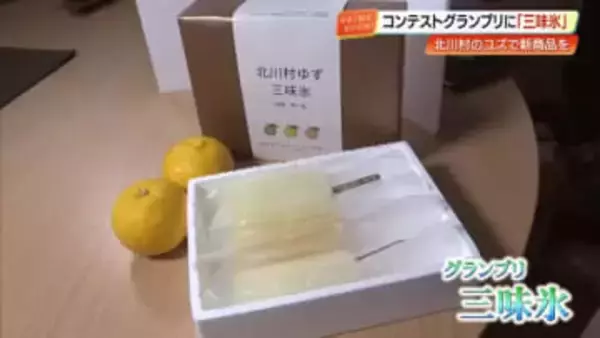 ユズ胡椒がアイスに！？北川村でユズの新商品コンテスト、『三味氷』がグランプリに