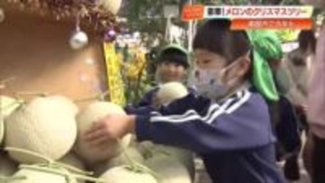 100個以上のメロンがクリスマスツリーに！西島園芸団地で園児が飾り付け体験【南国市】