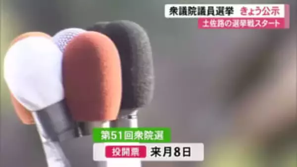 【衆院選公示】土佐路の戦い始まる　高知1区に3人　高知2区に3人　自民前職に野党新人挑む【高知】