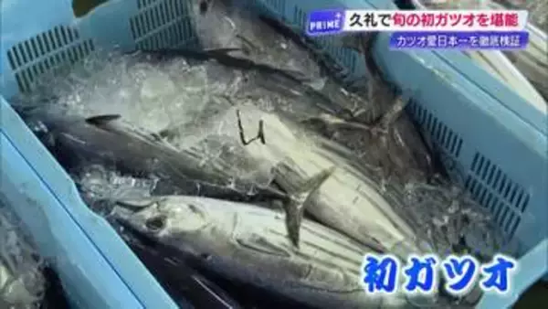 久礼が、いちばん。高知・中土佐町久礼が“カツオ愛日本一”に　毎日食べる人は県民の5倍！？