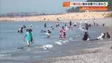 「「最高ー！」海の日でにぎわう香南市のヤ・シィパーク　足だけのつもりが、たまらずダイブ！【高知】」の画像1