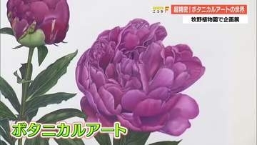 花びら一枚まで完全再現　国内外85点の『ボタニカルアート』集結の企画展、牧野植物園で開催へ【高知】