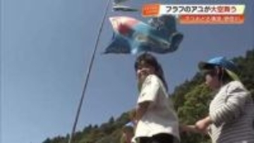 高知・安田川で《日本一の鮎》を　稚魚2000匹放流＆「アユのぼり」とフラフの掲揚