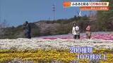 「【高知】「天国に来たみたい」大月町に咲き誇る絶景、200種10万株の花咲農園オープン」の画像1