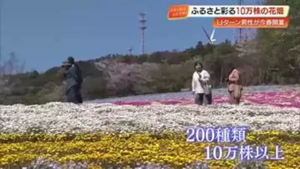 【高知】「天国に来たみたい」大月町に咲き誇る絶景、200種10万株の花咲農園オープン